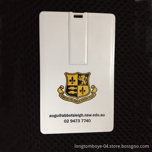 Logo Welcomed Credit Card USB Flash Drive